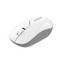 Everest SMW-973 USB Beyaz/Gri 2.4Ghz kablosuz