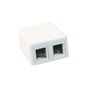 Commscope 1-111669803 2 port sıva üstü plastik