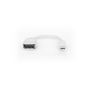 Digitus DB-340405-001-W 15cm Mini DP(E)=>DP (D)1.2