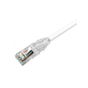 Commscope NPC06SZDB-WT025C 25cm CAT 6 beyaz patch