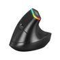 Everest SMW-618 Kablosuz dikey tuşlu siyah mouse