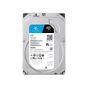 SEAGATE 6TB GÜVENLİK SKYHAWK ST6000VX009 5400RPM