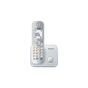 PANASONIC KX TG6811 DECT TELEFON ,GRİ